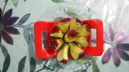 Apple Slicer