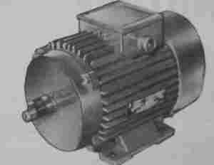 TEFC Foot Mounted AC Induction Motor