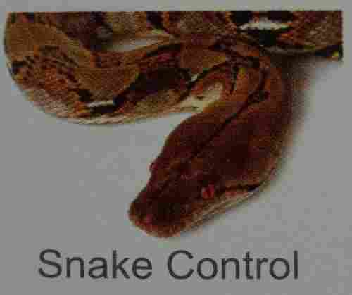 Snake Control Services