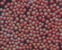 Molecular Sieves Beads