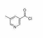 5-Methylnicotinoyl Chloride (CAS NO.: 884494-95-5)