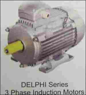 Delphi Series 3 Phase Induction Motors
