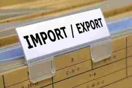 Import Export License Service