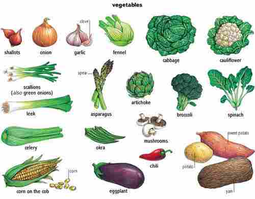 Fresh Vegetable
