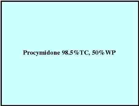 Procymidone 98.5%TC, 50%WP