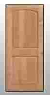 Durable 2 Panel Skin Door