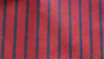 Chambray Stripe Fabric