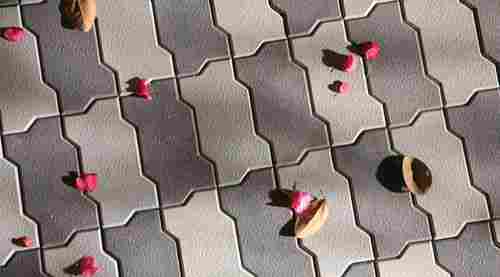 Paver Block And Chequred Tiles