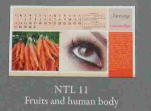 Table Calendar (Ntl-11)