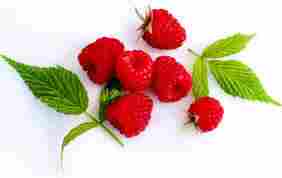 Raspberry Ketone Extract (P-Hydroxyphenyl Butanone)