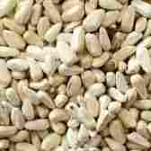 Agri Safflower Seed