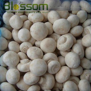 IQF Frozen Champignons Mushrooms (Whole And Slices)