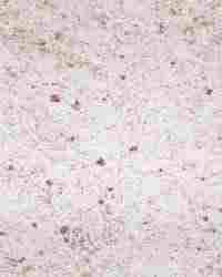 Granite Tiles (Kashmir - White)