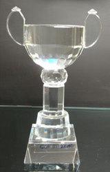 Crystal Cup Big