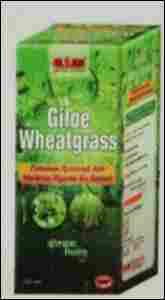 Giloe Wheetgrass Juice