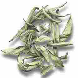 Stevia Dry Leaf