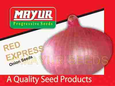 Mayur Red Express Onion Seeds