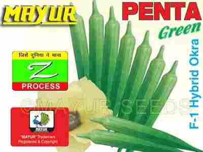 Mayur Hybrid Okra Penta Seeds Green
