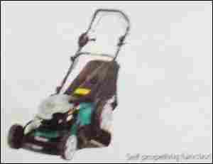 Petrol Lawn Mower (PLM5102)