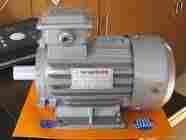 Electric Induction Motor