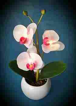 White Orchids Artificial Flower