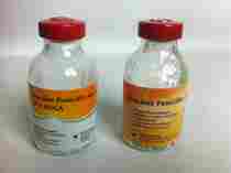 Procaine Penicilline Powder For Injection