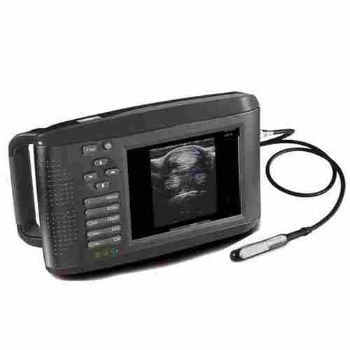 RW-802V Veterinary Ultrasound Scanner