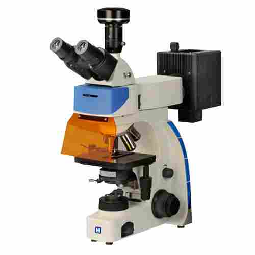 Upright Trinocular Fluorescence Microscope