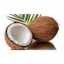 T. R. Coconut
