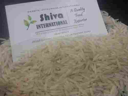 SHIVA Rice
