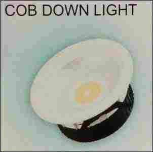 Cob Down Light