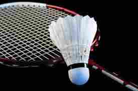 Wagle Badminton