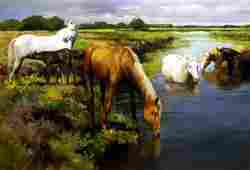 Canvas Painting With Horses