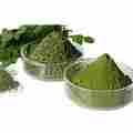 Moringa Leaf Extract Powder