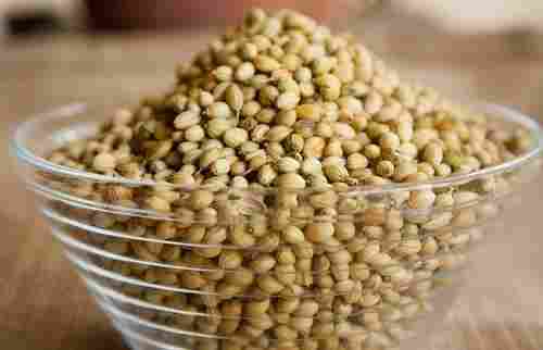 Coriander Seeds