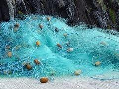 Braided Fish Net