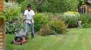 Garden Maintenance Service