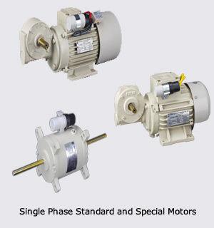Single Phase Standard and Special AC Motors