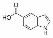 Indole 2 Carboxylic Acid