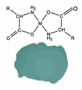 Copper Glycine Amino Acid Chelate