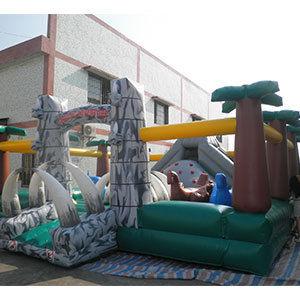 Giant Inflatable Bouncer