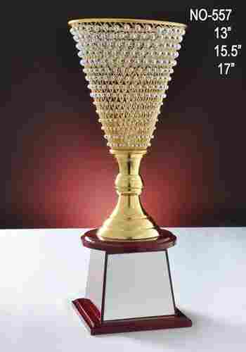 Diamond Vask Trophy