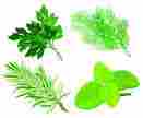 Herbal Leaves