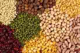Dehydrated Sprouted Pulses