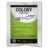 Coloxy For Fish