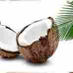 Ravi Coconut