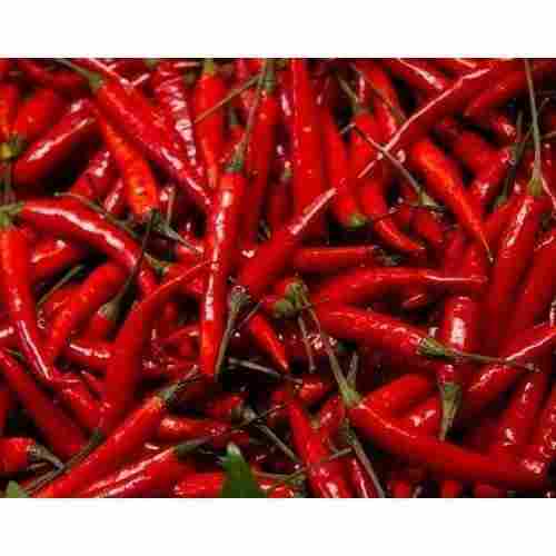 Red Chilly