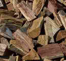 Babool Fire Wood