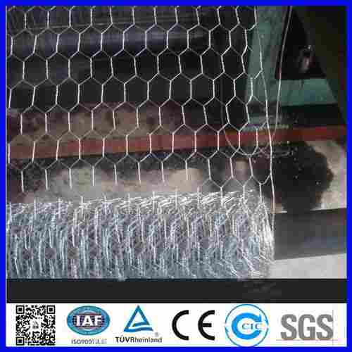 Anping Hexagonal Bird Cage Steel Chicken Wire Netting