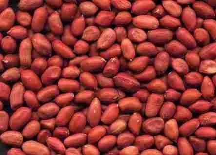 Red Kernel Peanut 